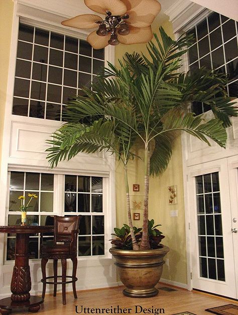 Great Room Idea, Indoor Palm Tree Indoor Design Living Room, 2 Story Great Room, Indoor Palm, Indoor Palm Trees, Small Room Divider, Online Landscape Design, Corner Decoration, Indoor Palms, Ferns Garden