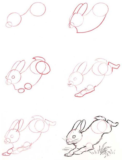 Conejo Draw A Rabbit, Sketching Lessons, Ako Kresliť, Arte Doodle, Rabbit Drawing, Drawing Lesson, Bunny Drawing, Animal Drawing, Art Instructions