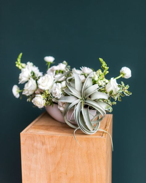 Air Plant Centerpiece Wedding, Home Plants Decor, Plant Organization, Centerpiece For Party, Air Plants Wedding, Centerpiece For Dining Table, Plant Bouquet, Plant Centerpieces, Table Centerpiece Flower