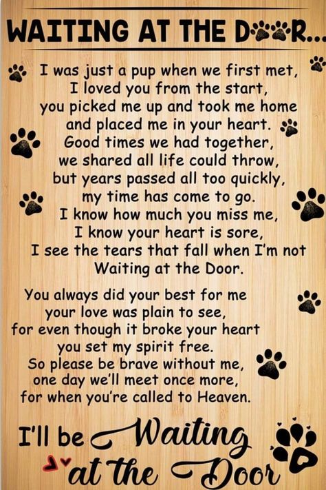 Lola💫Loves💖🌌moon🌛sun☀️dawn🌅💕💫 on Twitter: "So so sorry💔😔...my goodness it's heart breaking..but remember all the good times and love shared..sending prayers for comfort up and out to you..🙏💕💫🐕💓… https://t.co/2Xsa1o4tC4" Pet Poems, Big Monster, Miss My Dog, Dog Poems, Dog Quotes Love, Mia Mia, Dog Heaven, Pet Remembrance, Pet Sympathy