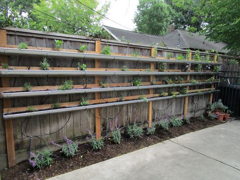 Vertical Veggie Garden Wall, Food Growing Fence, Vertical Fence Garden, Vertical Garden Fence, Vertical Garden On Fence, Strawberry Fence, Fence Vertical Garden, Permaculture Allotment, Garden On Fence