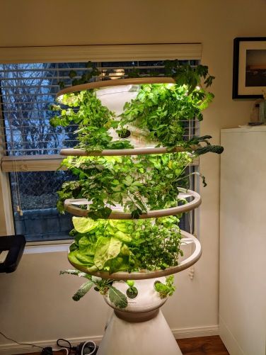 Lettuce Grow Farmstand review: A hydroponic garden fit for beginners Mediterranean Garden Courtyard, Grow Tower, Lettuce Grow, Hydroponic Gardening System, Home Hydroponics, Grow Lettuce, Growing Vegetables Indoors, Growing Food Indoors, Hydroponic Garden