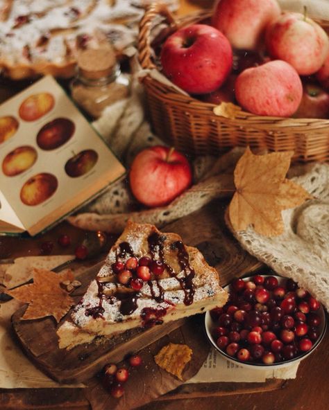 Freeland by Voldie Autumn Cottagecore, Lexa Y Clarke, Apple Season, Apple Pies, Autumn Magic, Autumn Cozy, Autumn Aesthetic, Red Apple, Autumn Inspiration