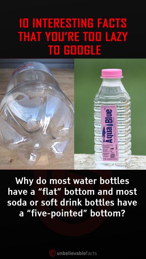 Unbelievable Facts Did You Know, Unbelievable Science Facts, Random Fun Facts, Bro Jokes, Distress Signal, Science Fact, 10 Interesting Facts, Interesting Facts About World, Cool Science Facts