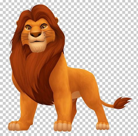 Lion King Images, Lion King Birthday Party Ideas, Lion Png, Lion King Timon, Lion King Party, Simba Lion, Lion King Drawings, Lion King Pictures, Lion King Cakes