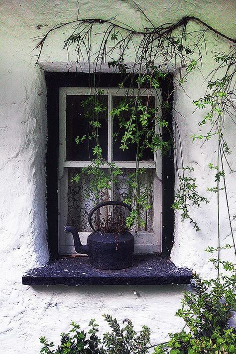 Cottage Windows, Witch Cottage, Cottage Aesthetic, Irish Cottage, Irish Eyes, Cob House, Beautiful Windows, Old Windows, Cozy Cottage