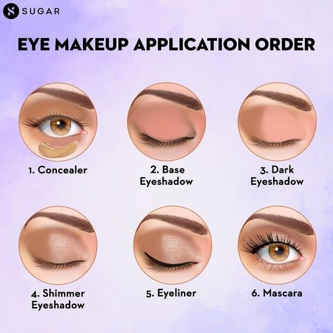 Make Up Beginner Guide, Makeup For Dummies Step By Step, Makeup Lessons For Beginners, Basic Eye Makeup For Beginners, Makeup Layout On Face, Make Up Tutorial Step By Step, Makeup Placement Face, Makeup Cheat Sheets, Makeup Chart