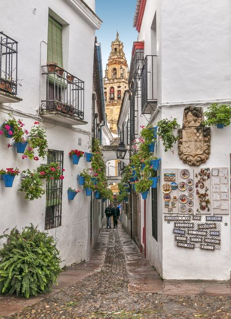 Located in the Andalusian city of Cordoba, Calleja de las Flores is a narrow street that runs right into a plaza. With its many flowers and white-washed walls, the charming Spanish street is very typical of the region. Cordoba Spain, South Beach Hotels, Beautiful Streets, Spain And Portugal, Andalusia, Spain Travel, Architectural Digest, Unesco World Heritage Site, Unesco World Heritage