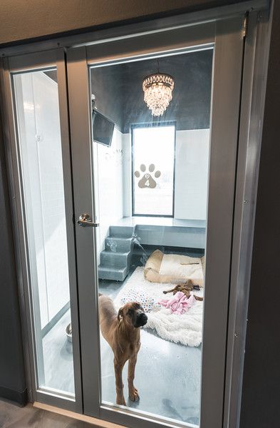 © Julie Prairie Photography 2016 Dog Hotel Ideas Pet Resort, Dog Boarding Ideas, Luxury Dog Kennels, Dog Boarding Facility, Dog Boarding Kennels, Dog Bedroom, Dog Kennel Designs, Med Vet, Puppy Room