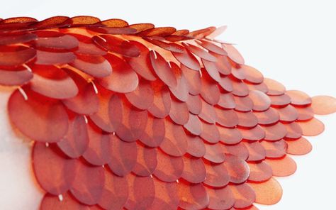 London Design Week, Material Research, Bio Art, Royal Art, Agar Agar, Sustainable Art, Sustainable Manufacturing, Sustainable Textiles, Design Textile