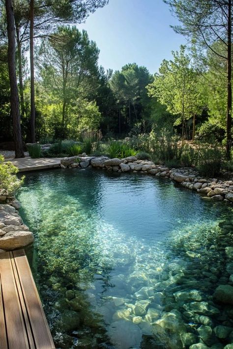 Create a natural swimming pool that blends with your landscape. Discover the benefits of eco-friendly pools that use plants and natural filtration systems. 🏊‍♂️🌱 #NaturalSwimmingPool #EcoFriendlyLiving #SustainableDesign Living Pool, Natural Swimming Ponds, Swimming Pond, Natural Pond, Dream Life House, Natural Swimming Pools, Natural Swimming Pool, Design Objects, Dream Pools