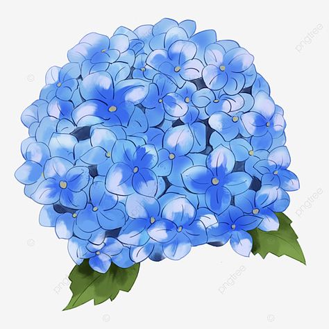 A Flower Drawing, Painted Hydrangea, Flower Boquet, Leaf Watercolor, Blue Png, Wedding Wine Bottles, Blue Drawings, Art Mediums, Watercolor Girl