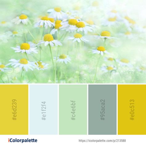 Light Blue Green Yellow Color Palette, Daisy Colour Palette, Bee Color Pallete, Yellow Color Palette Colour Schemes, Yellow Pallete Color, Daisy Color Palette, Sunshine Color Palette, Yellow Color Palettes, Color Palette Ideas