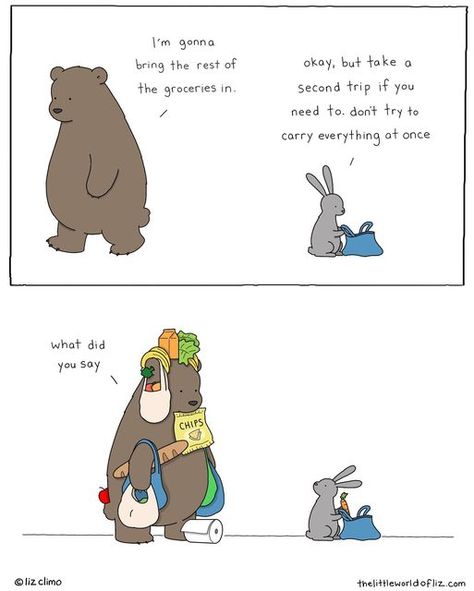 𝙻𝚒𝚣 𝙲𝚕𝚒𝚖𝚘 on Instagram: "💯" Liz Climo Comics, Liz Climo, Funny Animal Comics, Sweet Drawings, Morning Cartoon, Funny Comic Strips, Cute Funny Cartoons, Bunny And Bear, Words Of Comfort