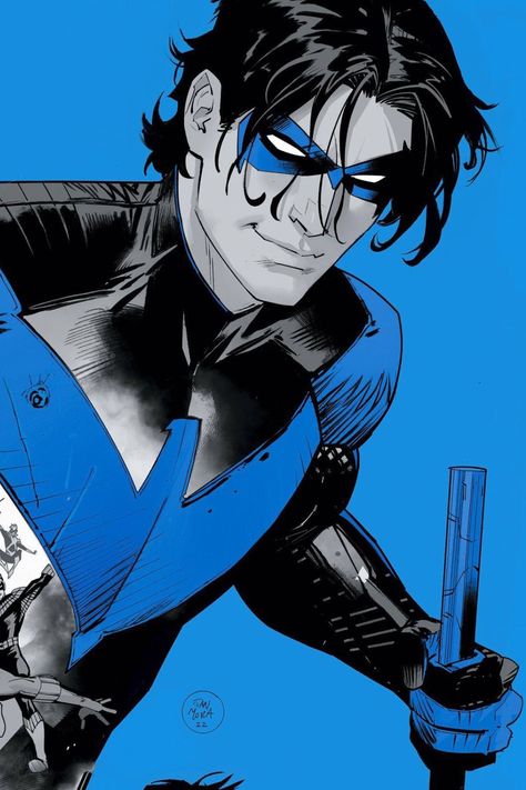 Titans Wallpaper Aesthetic Dc, Nightwing Art, Nightwing Wallpaper, Night Wing, Dan Mora, Univers Dc, Arte Dc Comics, Batman Family, Variant Covers