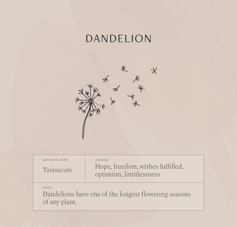 Flower With Meaning Tattoo, Flower Meaningful Tattoo, Dandelion Tattoo Hand, Flower Meaning Freedom, Tattoos Dandelion Meaning, Tattoo Ideas Female Hope, Tattoo Ideas Female Psychology, Tiny Tattoo With Meaning, Tattoo Ideas With Meaning Inspiration