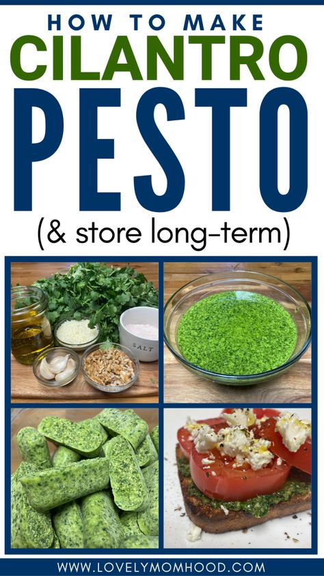 Today I will show you how to make this easy and fast cilantro pesto recipe and store it long-term so you can use it year-round when needed. Canning Pesto, Homemade Pesto Recipe, Pesto Recipes, Cilantro Recipes, Cilantro Pesto, Homemade Pesto, Pesto Recipe, Garden Recipes, How To Store