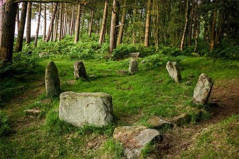 Stonehenge, Forest Grove, Stone Circle, Witching Hour, Standing Stone, Sacred Stones, Ancient Origins, Witchy Things, Sacred Places