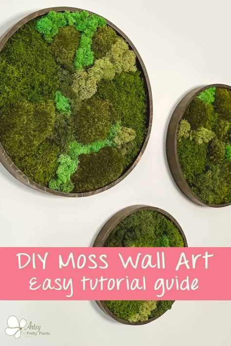 Diy Moss Wall Art, Diy Moss Wall, Mos Wand, Moss Gardens, Diy Moss, Types Of Moss, Wall Art Tutorial, Moss Decor, Moss Wall Art