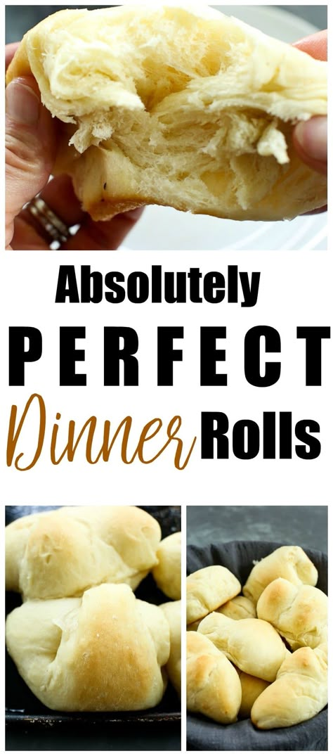 Bread Machine Dinner Rolls, Honey Yeast Rolls, Best Dinner Rolls, Dinner Roll, Best Dinner, Homemade Dinner Rolls, Yeast Rolls, Dinner Rolls Recipe, Homemade Dinner