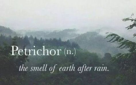 The smell of of warm earth after rain 💦 Smell Quotes, Indian Travel, Rain Quotes, Smell Of Rain, Rain Wallpapers, Uncommon Words, After Rain, Unusual Words, Rare Words