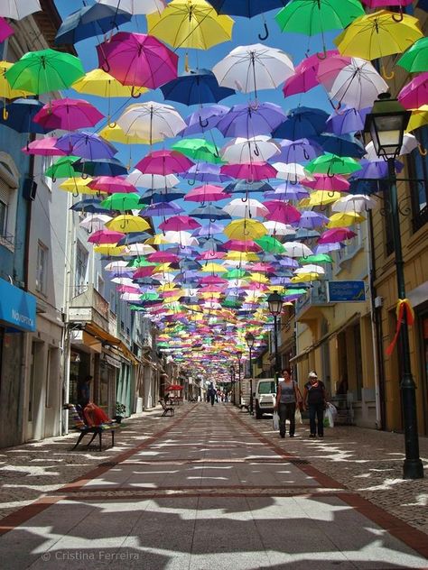 portal of semiotic umbrellas New Colorful Canopy of Umbrellas Graces the Streets of Portugal - My Modern Met Umbrella Street, Turkey Disguise Project, Turkey Disguise, Colorful Umbrellas, Umbrella Art, Deco Luminaire, Art Festival, Public Art, 인테리어 디자인