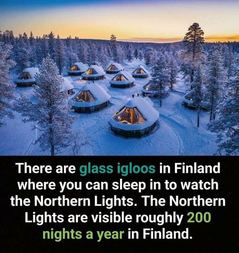 50 Bits Of Information From The ‘Unusual Facts’ FB Page That May Raise Eyebrows Finland Northern Lights, Finland Facts, Glass Igloo, Mind Unleashed, Unusual Facts, Secret Escapes, Marianas Trench, Solar Technology, Fun Places To Go