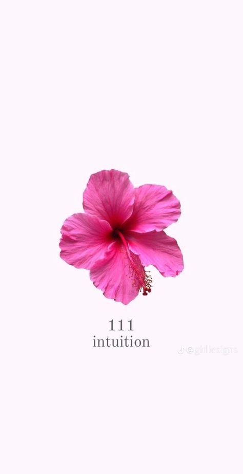 111 Intuition, Number Wallpaper, Cute Summer Wallpapers, Iphone Wallpaper Photos, Iphone Wallpaper Themes, Wallpaper For Your Phone, Aesthetic Pastel Wallpaper, Tumblr Wallpaper, Angel Number