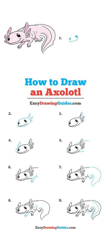 Learn to draw an Axolotl. This step-by-step tutorial makes it easy. Kids and beginners alike can now draw a great Axolotl. Axolotl Drawing Simple, Axolotl Crafts For Kids, Axolotl Drawings, Draw An Axolotl, Axolotl Doodle, Axolotl Drawing, Easy Dragon Drawings, Fantastical Creatures, Drawing Instructions