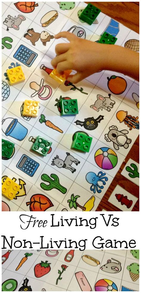 Get a free game and sorting cards to assist you in teaching your living vs non-living unit. There are other activities, such as emergent readers available too. Living Non Living Worksheet, Plants Science, Pre-k Science, Living And Nonliving, Partner Quotes, Ela Centers, Science Boards, Study English, Doodle Alphabet