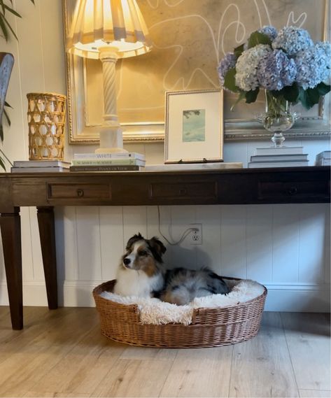 Bedsure Calming Dog Bed for Small … curated on LTK Wicker Dog Bed, English Cottage Interiors, Puppy House, Nancy Meyers, Cottage Interiors, Dog Beds, English Cottage, Dog Bed, House Interior