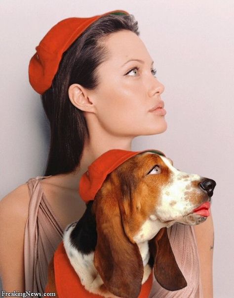 26 Celebrities With Basset Hounds | Page 2 of 6 | The Paws Celebrity Dogs, Pet People, Basset Hound Dog, Bassett Hound, Basset Hounds, Wolf Dog, Hound Dog, Basset Hound, Dog Photography