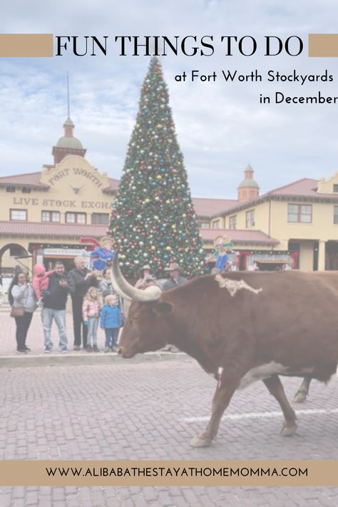 Holidays Activities, Fort Worth Stockyards, Christmas Things To Do, Texas Christmas, Texas Vacations, Waco Texas, The Fort, Fort Worth Texas, Holiday Activities