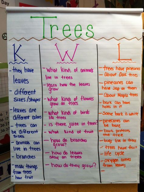 We started a new Science unit on Trees!  Ms. Arboe had us help her make a KWL Chart.  We started our KWL chart by listing things we already... Kwl Chart For Trees, Teaching Strategies Tree Study, Tree Study For Preschool, Preschool Tree Study Activities, Preschool Tree Theme, Parts Of A Tree Craft, Prek Tree Study, Trees Theme Preschool, Tree Study Creative Curriculum Preschool Dramatic Play