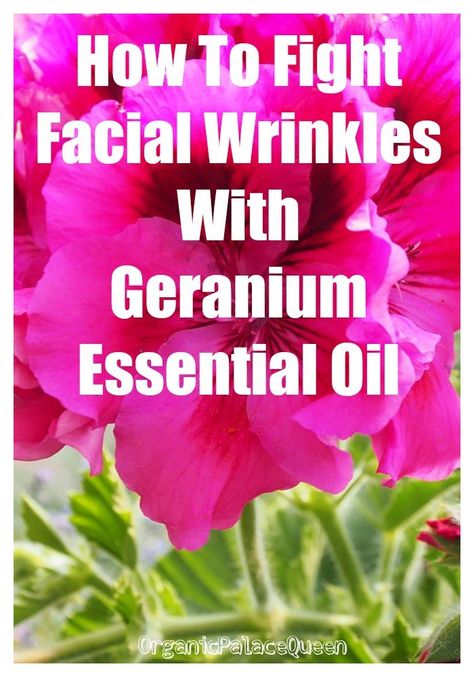 Geranium oil for your skin Face Care Acne, Face Cream For Wrinkles, Essential Oils For Headaches, Anti Wrinkle Skin Care, Face Care Routine, Facial Wrinkles, Using Essential Oils, Geranium Oil, Skin Care Wrinkles