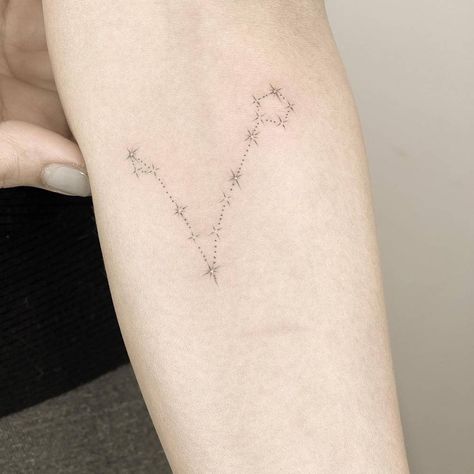 Pisces Star Constellation, Star Constellation Tattoo, Pisces Constellation Tattoo, Pisces Tattoo, Hawk Tattoo, Pisces Constellation, Zodiac Pisces, Astronomy Constellations, Constellation Tattoo