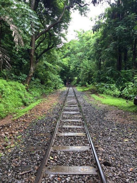 Sanjay Gandhi National Park, Park Aesthetic, List Of Birds, Jain Temple, Forest And Wildlife, Instagram My Story, Amazing Nature Photos, Forest Fire, Dream City