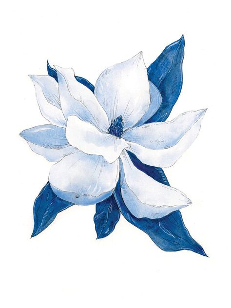 Blue Botanical Prints – Lucy Reiser Fine Art Brevard North Carolina, Magnolia Print, Canvas Painting Designs, Art Hobbies, Flower Art Painting, Folk Art Painting, Art Business, In The Mountains, Botanical Prints