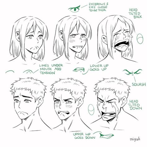 Media Tweets by Miyuli (@miyuliart) / Twitter Face Expression Drawing, Facial Features Drawing, Features Drawing, Facial Reference, Expression Drawing, Face Emotions, Expression References, Facial Expressions Drawing, Drawing Face Expressions