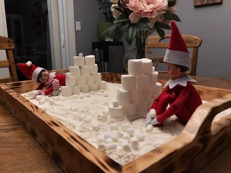 Elf Roasting Marshmallows, Marshmallow Elf On The Shelf Ideas, Elf On The Shelf Smores Ideas, Elf On Shelf Marshmallow Ideas, Elf On The Shelf Ideas Marshmallows, Melted Snowman Elf On The Shelf, Elf On The Shelf Marshmallow, Elf On The Shelf Snowball, Elf On The Shelf Pet Ideas