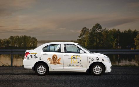 With Aditya's experience in the taxi business and Priya's knowledge of animal welfare, the couple started Petxi, a taxi service for dogs. Petxi provides cab rides, joy rides, and even rescue services for pups. Pet Taxi, Dog Boarding Facility, Factory Farming, Joy Ride, Taxi Service, Animal Welfare, Dog Boarding, Dog Days, Animal Shelter