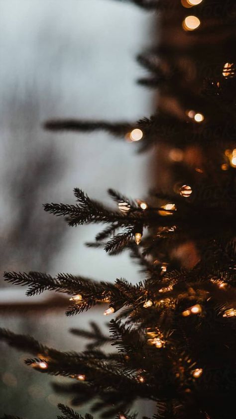 Christmas Aesthetic Wallpaper Iphone, Christmas Instagram Pictures, Christmas Tumblr, Christmas Lights Background, Christmas Lights Wallpaper, Picture Tree, Aesthetic Wallpaper Iphone, Christmas Wallpaper Backgrounds, Christmas Aesthetic Wallpaper