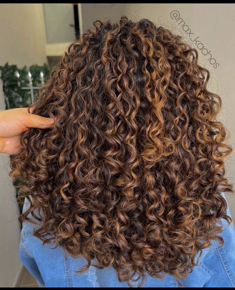 Curly Hair With Partial Highlights, Brown With Caramel Highlights Curly Hair, Curly Golden Highlights, Curly Brown Hair With Light Brown Highlights, Brown Highlights In Curly Hair, Red Pintura Highlights Curly, Dark Brown Hair With Highlights Curly Natural, Carmel Highlights On Brown Hair Curly Hair, Caramel Highlights On Curly Brown Hair