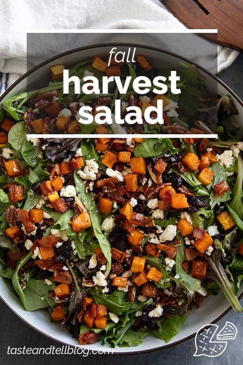 Filled with the flavors of fall, this Fall Harvest Salad is the perfect side dish for holidays or as a part of any dinner. Made with butternut squash, bacon, pecans, and dried cranberries, this is a salad you will want to make over and over again. Seasonal Salads Fall, Harvest Fall Salad, Butternut Squash Salad Recipes, Harvest Salad Recipes, Butternut Squash Bacon, Salad With Butternut Squash, Fall Salad Recipes, Fall Harvest Salad, Fall Salads