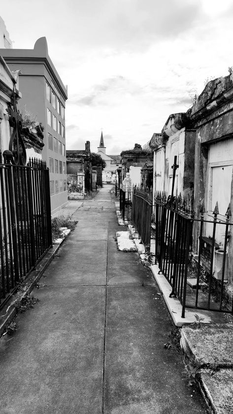 St. Louis Cemetery No.1 view of Cathedral, Photo by GMissant Cemetery, St Louis, No 1, Halloween