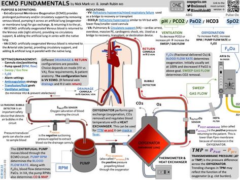 (7) Nick Mark MD (@nickmmark) / Twitter Ccrn Study Plan, Cardiac Sonography, Cardiogenic Shock, Intracranial Pressure, Nursing 101, Medical Mnemonics, Medical Notes, Wooden Moon, Mcat Study