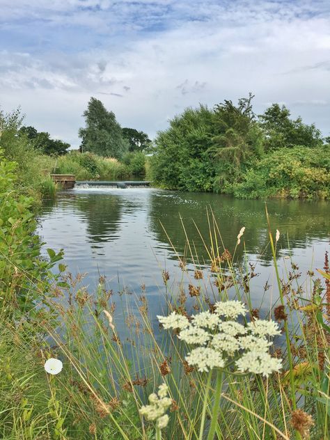 The club has exclusive access to three miles of double-bank fishing on the River Rother. There are several beats, each with parking and easy access to the river. Check the River Level before you l… River Bank, Foto Art, Alam Yang Indah, Nature Aesthetic, Pretty Places, Green Aesthetic, The Club, Landscape Photos, Mother Earth