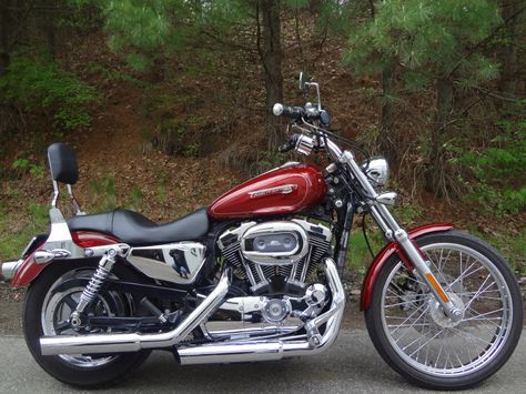 1998 sportster 1200 harley Harley 1200, Sportster 48, Sportster 1200, Harley Sportster, Harley Davidson Sportster, Live Life, Harley Davidson, Motorcycles, Bike