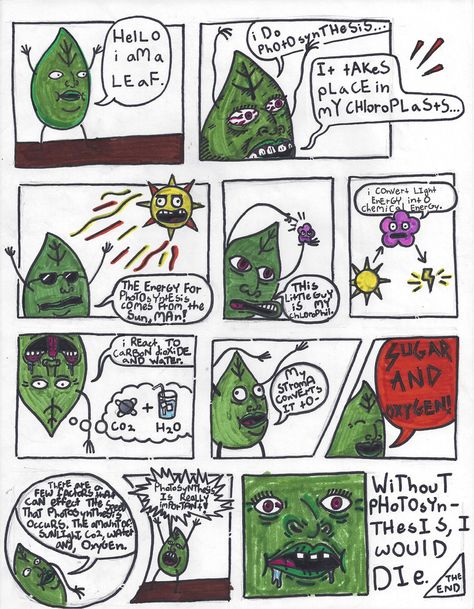 Comic Strip About Photosynthesis, Photosynthesis Comic Strip Ideas, Photosynthesis Comic Strip, Easy Comic Strip Ideas, Photosynthesis Drawing, Easy Comics Strips, Comic Strip Project, Photosynthesis Projects, Comic Strip Ideas