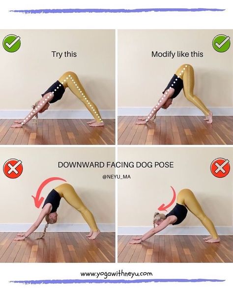 Yoga Dog Pose, Downward Dog Yoga, Adho Mukha Svanasana, Downward Dog Pose, Yoga Tutorial, Downward Facing Dog, Dog Poses, Dog Yoga, Downward Dog